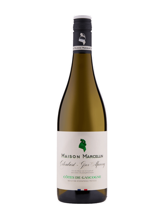Colombard – Gros Manseng 2024